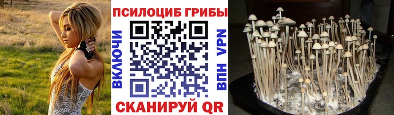 Псилоцибиновые грибы ЛСД  Шацк 